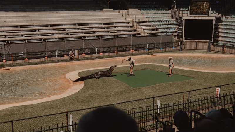 Sharp MLB Pitcher Fade Strategies